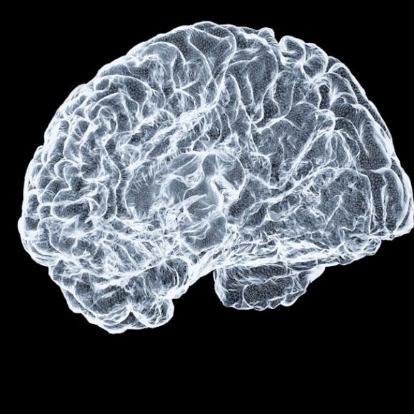 How Dopamine Influences Decision Making: The Neuroscience Behind Risk and Reward — Photo by Shawn Day on Unsplash