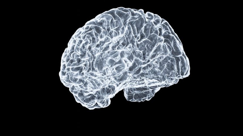How Dopamine Influences Decision Making: The Neuroscience Behind Risk and Reward — Photo by Shawn Day on Unsplash