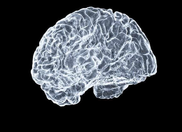 Why the Human Brain Is Attracted to Risk and Uncertainty — Photo by Shawn Day on Unsplash