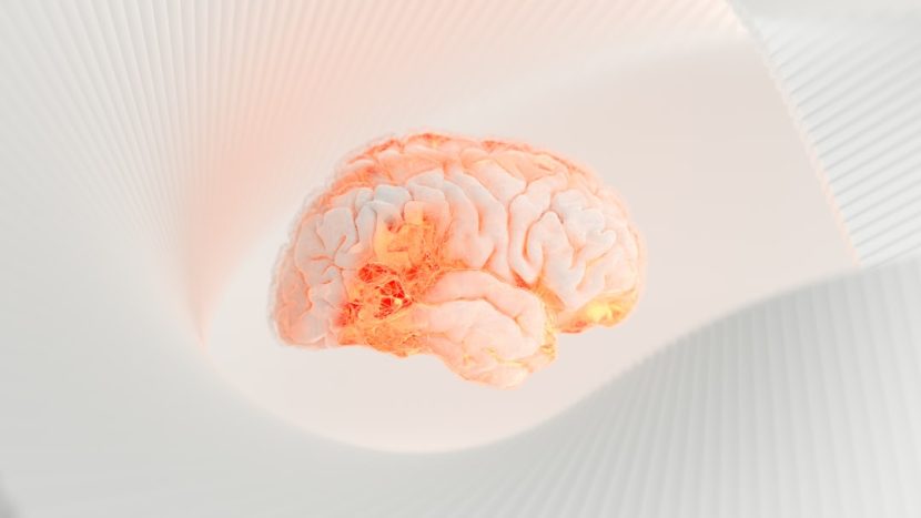 The Role of Cognitive Biases in Risky Decisions: A Psychology Perspective — Photo by KOMMERS on Unsplash